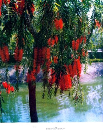 2003_insideoutside_04