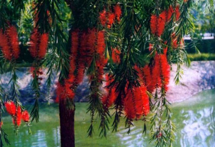 2003_insideoutside_04