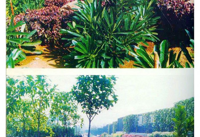 2003_insideoutside_06